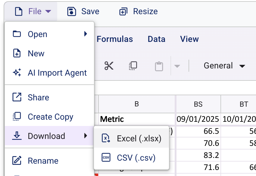Screenshot: Download File
