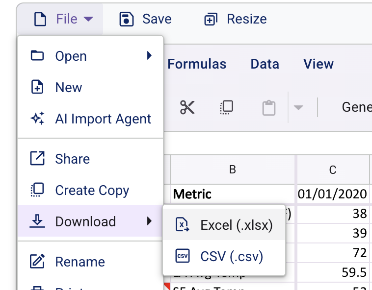 Screenshot: Excel Download